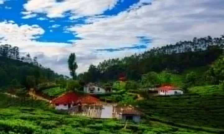 14 Days Golden Triangle tour with enchanting Kerala South India tour