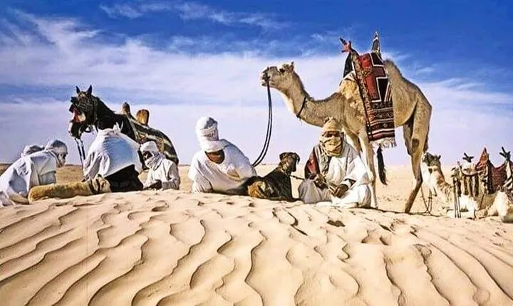 4-Day Private Tour: Sahara and Djerba Island from Tunis and Hammamet