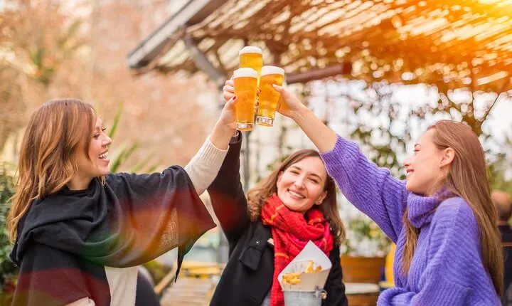 Private Tasting of Irish Beer and Dublin Old Town Tour