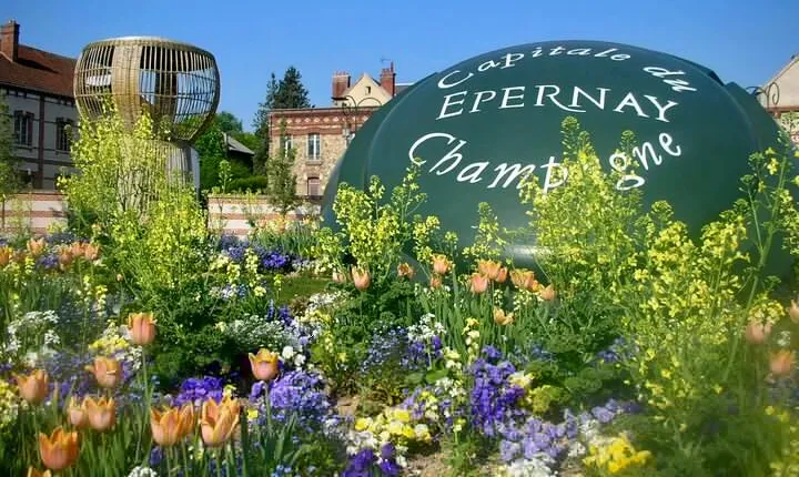 Moet et Chandon Veuve Clicquot Pommery Private Champagne trip