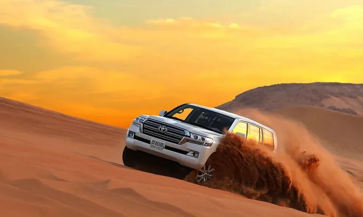 4-Hour Private Morning Desert Safari Jeep Admiring Desert Flora and Fauna