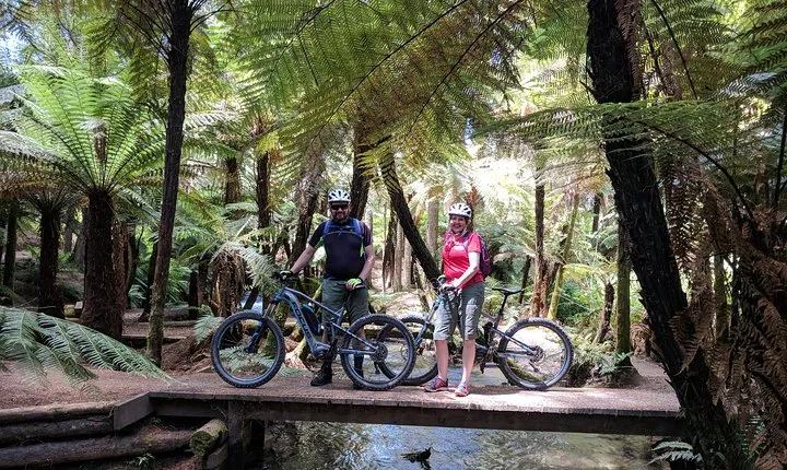 Redwoods Mountain Bike Ebike Tour HD