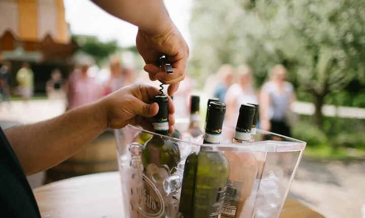Valeggio: Sorsi d’Estate, 3 young wines with guided tour