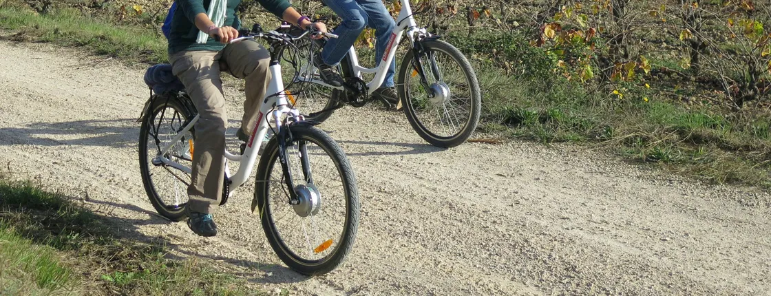 Electric bike ride and wine tasting in the Penedes region