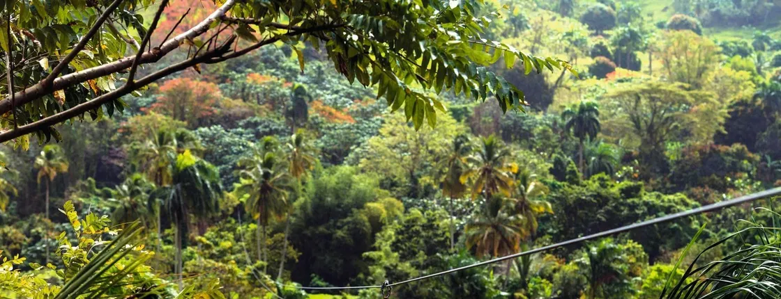 Horse Riding and Zipline