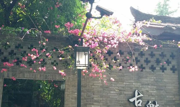 Chengdu City Top Attractions One Day Tour