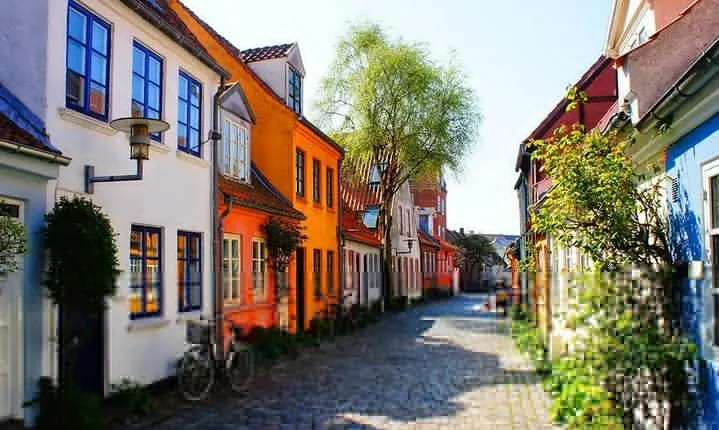 Private Shore Excursion: Highlights of Aarhus