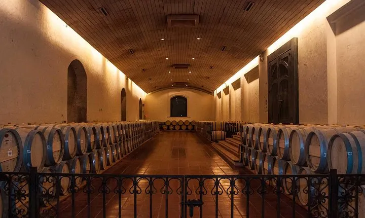 Santiago Full day tour to Maipo Valley, include entraces