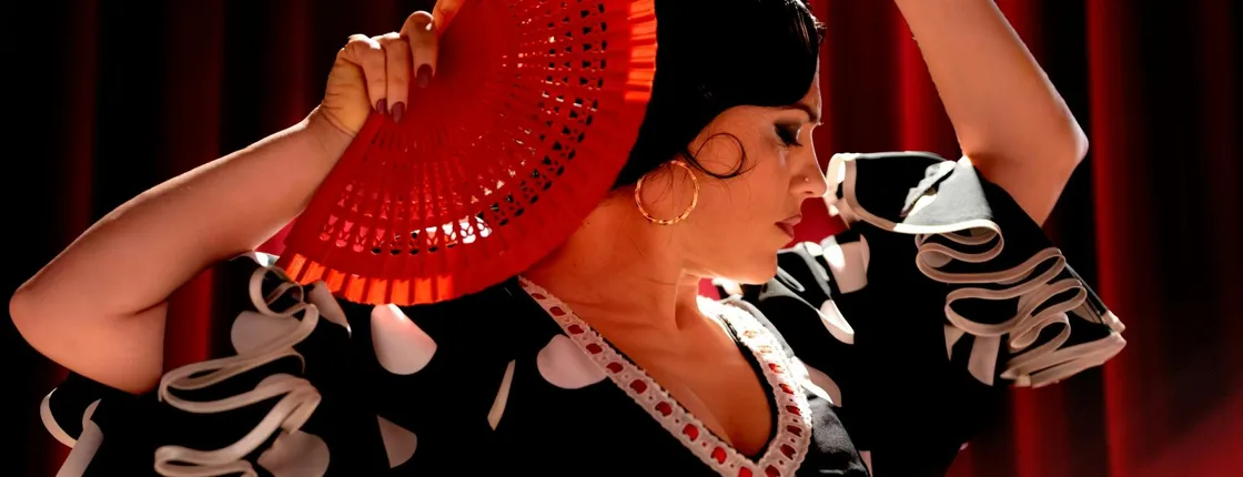1-hour flamenco show at Malaga's Alegría