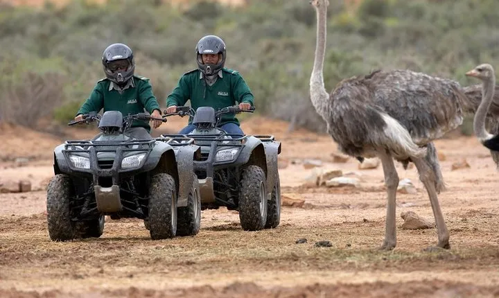 Cape Town Adventure Tours
