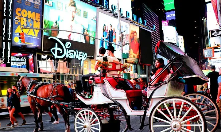 Central Park & Rockefeller Tour (4 Adults)