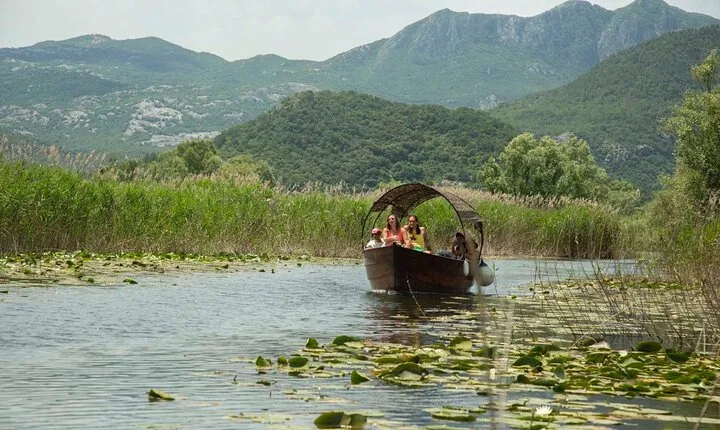 Skadar Lake National Park: 2 or 3-Hours Scenic Boat Tour