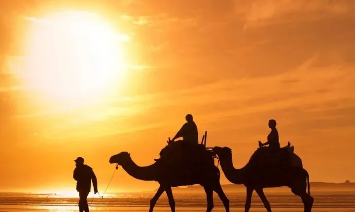 Afternoon Desert Safari Jeep and BBQ Dinner from Dubai