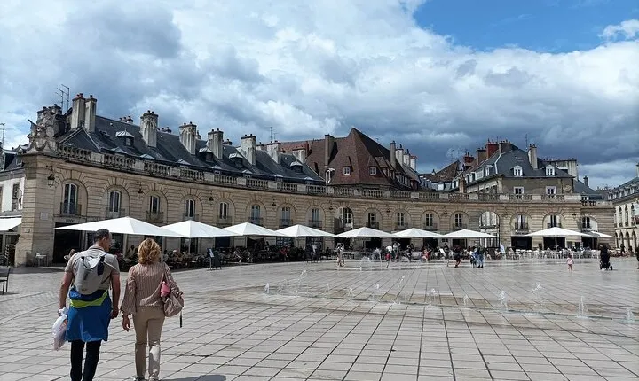 Guided tour of Dijon with your private professional guide!