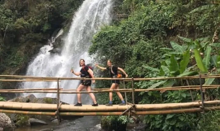 From Chiang Mai: Doi Inthanon Park & Pha Dok Siew Waterfall Hike
