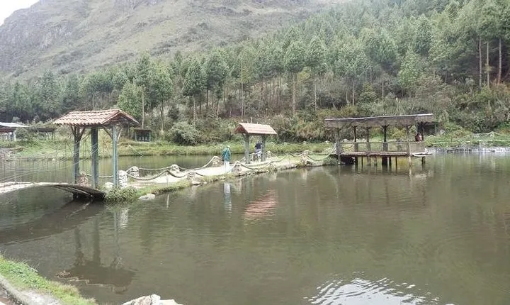 Private Fishing Full-Day Tour in Cajas National Park from Guayaquil