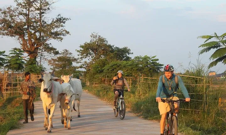 Silk Island at Twilight Cycle Encounter 