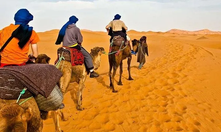 Red Dunes Desert Safari Plus ATV Quad Bike Ride (Land Cruiser)
