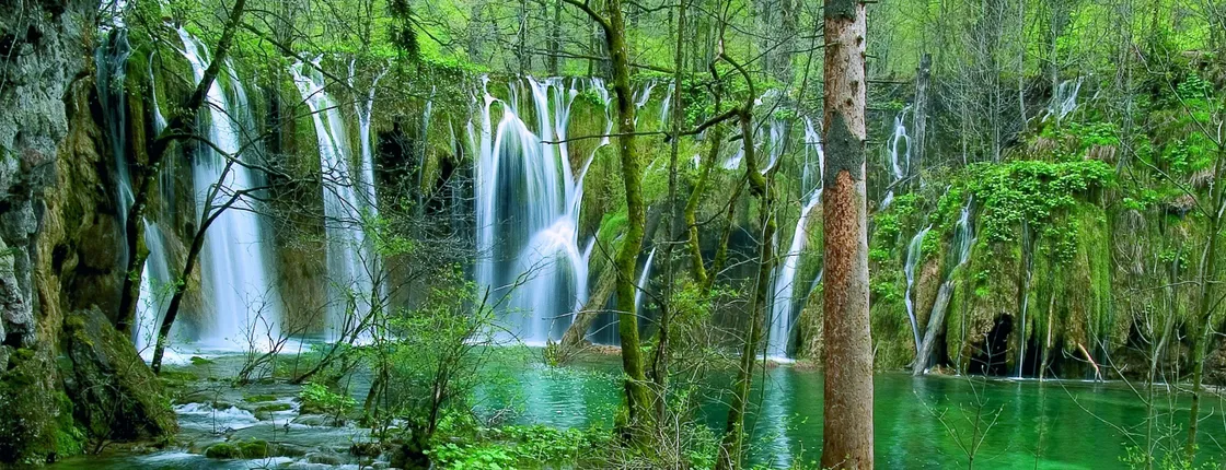 Private day-tour to Plitvice National Park from Zadar