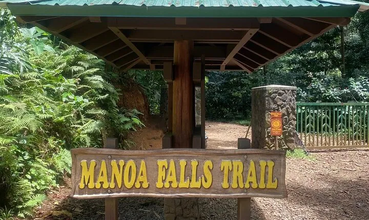 Mānoa Falls Trail Hiking Shuttle