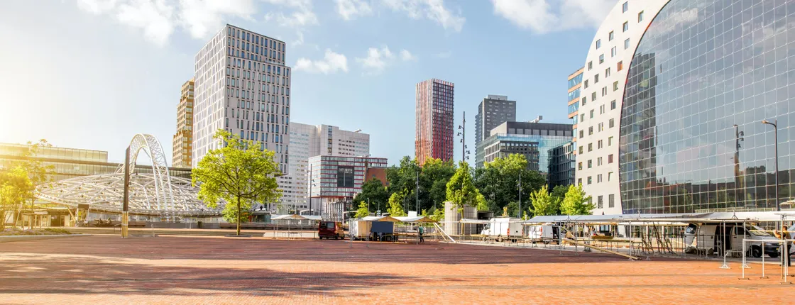 Rotterdam highlights 3-hour bike tour