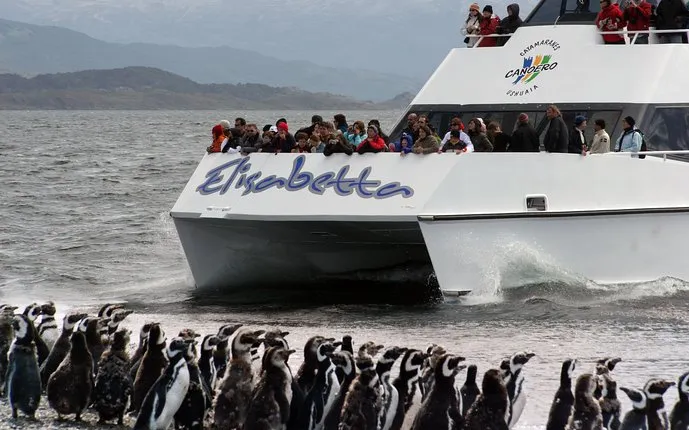Canoero Catamarans: Isla de los Lobos, Les Eclaireurs Lighthouse and Pingüinera tour