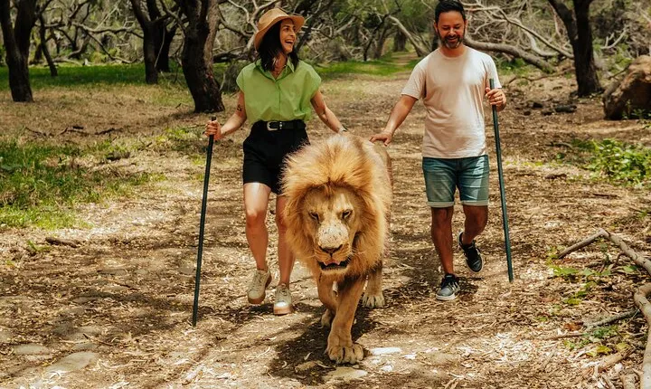 Casela - Walk With Lions