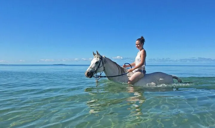 Ride Horses Along Nabq Bay Beach with Transfers - Sharm El Sheikh