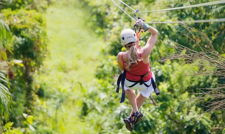 Zipline Canopy Tour & Tortuguero Canal Boat tour. Shore Excursion from Limon