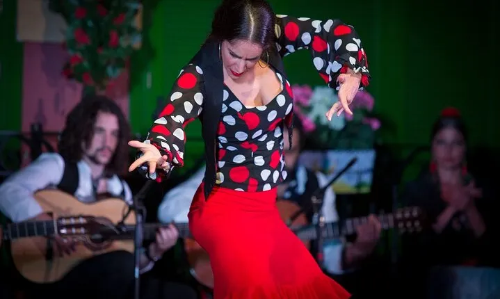 Admission Ticket to 'Only Flamenco' Show