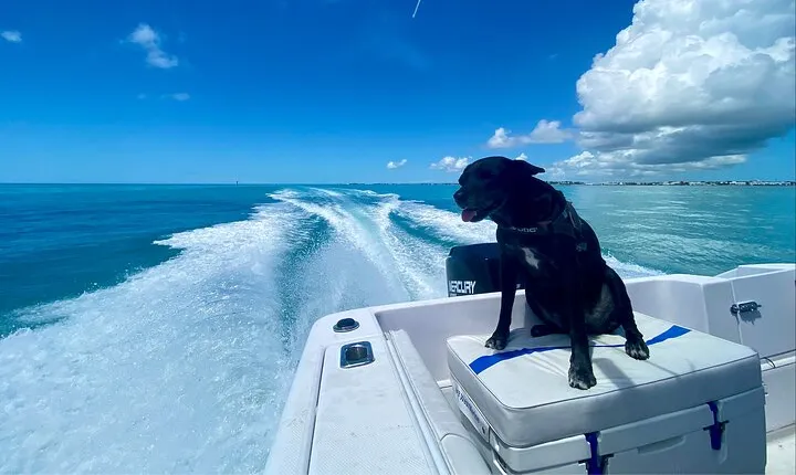 Explore the Waters of Key West
