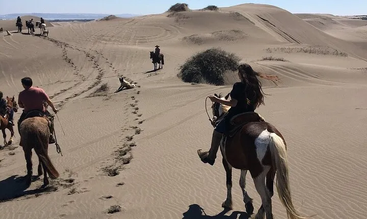 Private Valparaiso, Horse Riding Sea Sand Dunes & BBQ 