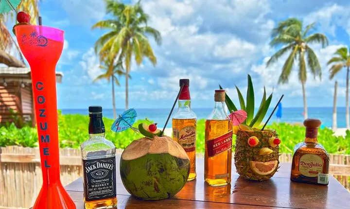 Chankanaab Park Cozumel Day Pass with Open Bar and Lunch