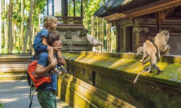 One Day Tour Ubud With Private Guide