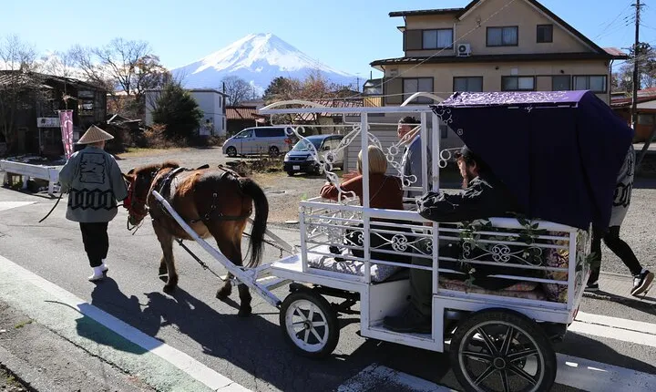 Horse Carriage Ride with Mt. Fuji and Sakura Views