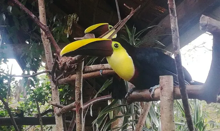 Transport from San Jose to la Fortuna