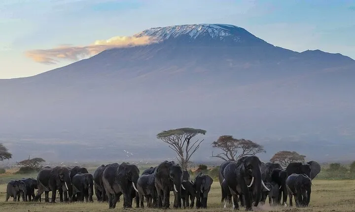 3 Days 2 Nights Safari to Amboseli from Nairobi