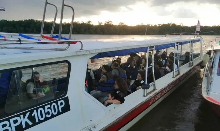 Twinkling Kuala Selangor Firefly Boat Tour from Kuala Lumpur