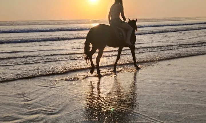 1 Hour Bali Seminyak Beach Horse Riding