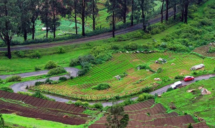 Ooty & Kumarakom Tour
