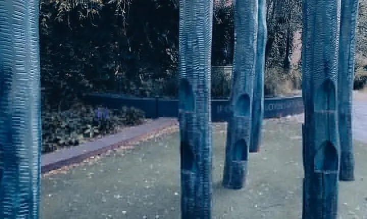 Van Gogh: Art, women and scandals 