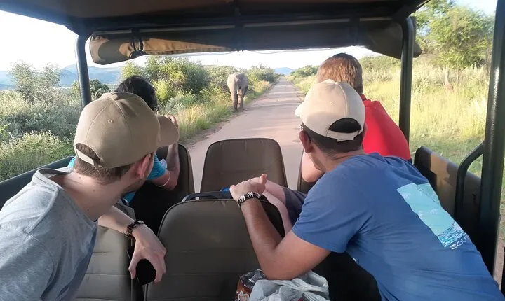 Pilanesberg national park tour-Open safari vehicle