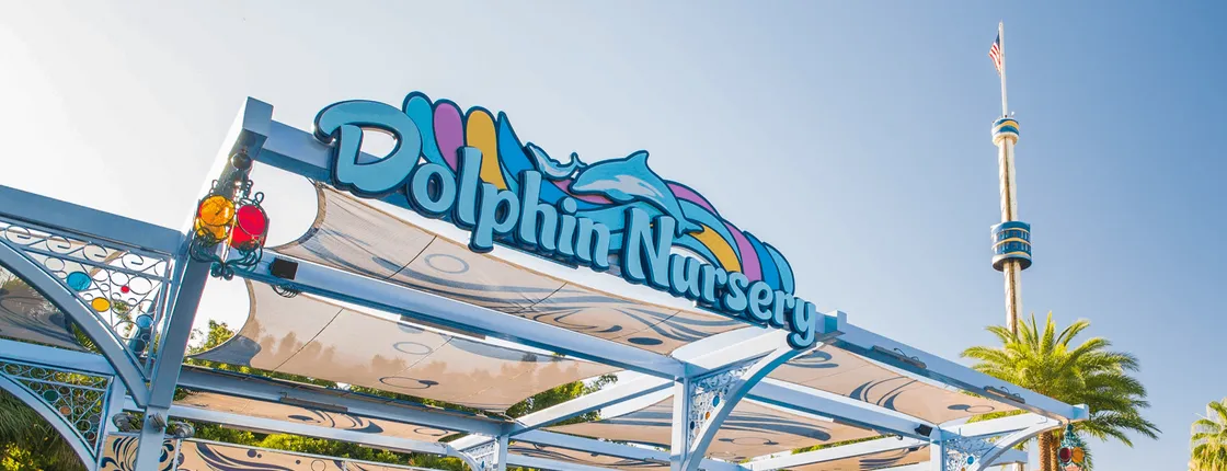 SeaWorld® Orlando Dolphin Encounter