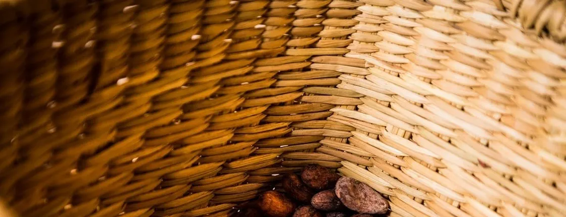 Peruvian Chocolate, Pisco and Coffee Tasting at the ChocoMuseo