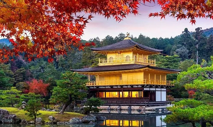  VIP Kyoto City Attractive Day Private Tour with pickup.