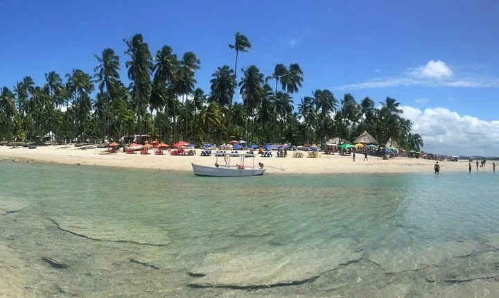 Aries Beach Private Tour - Group 1 to 6 PAX - Leaving Maragogi