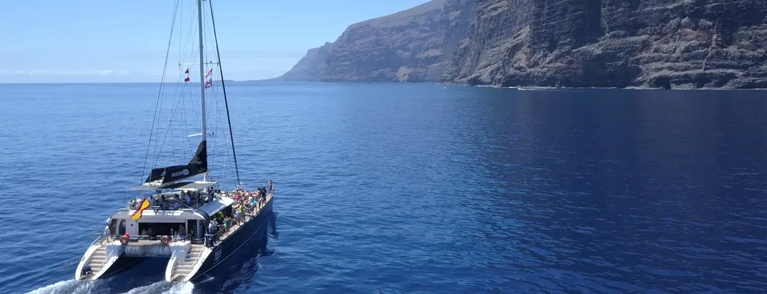 Whale watching boat trip to Los Gigantes and Masca