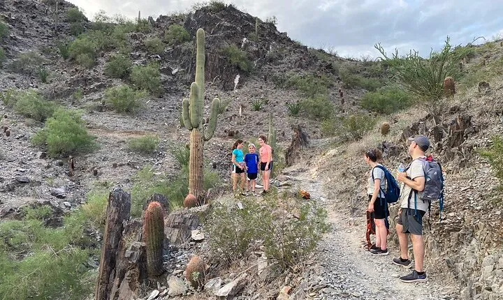 Family Fun Guided Hike in Phoenix, Arizona | Kids 10 & under free