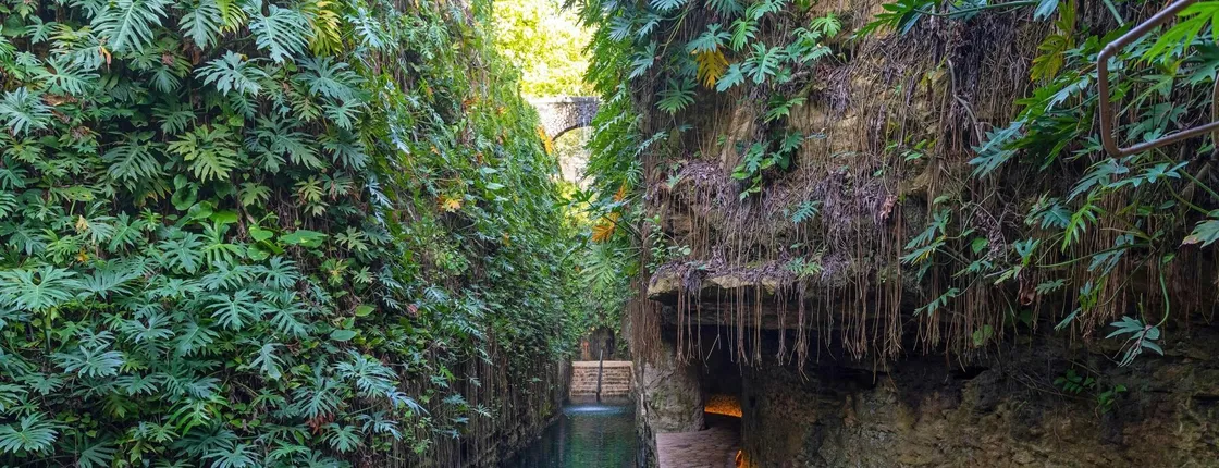 Two Cenotes and Hacienda Mucuyche Guided Tour