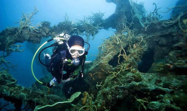 Coron Reefs & Wreck Tour (Shared Tour)